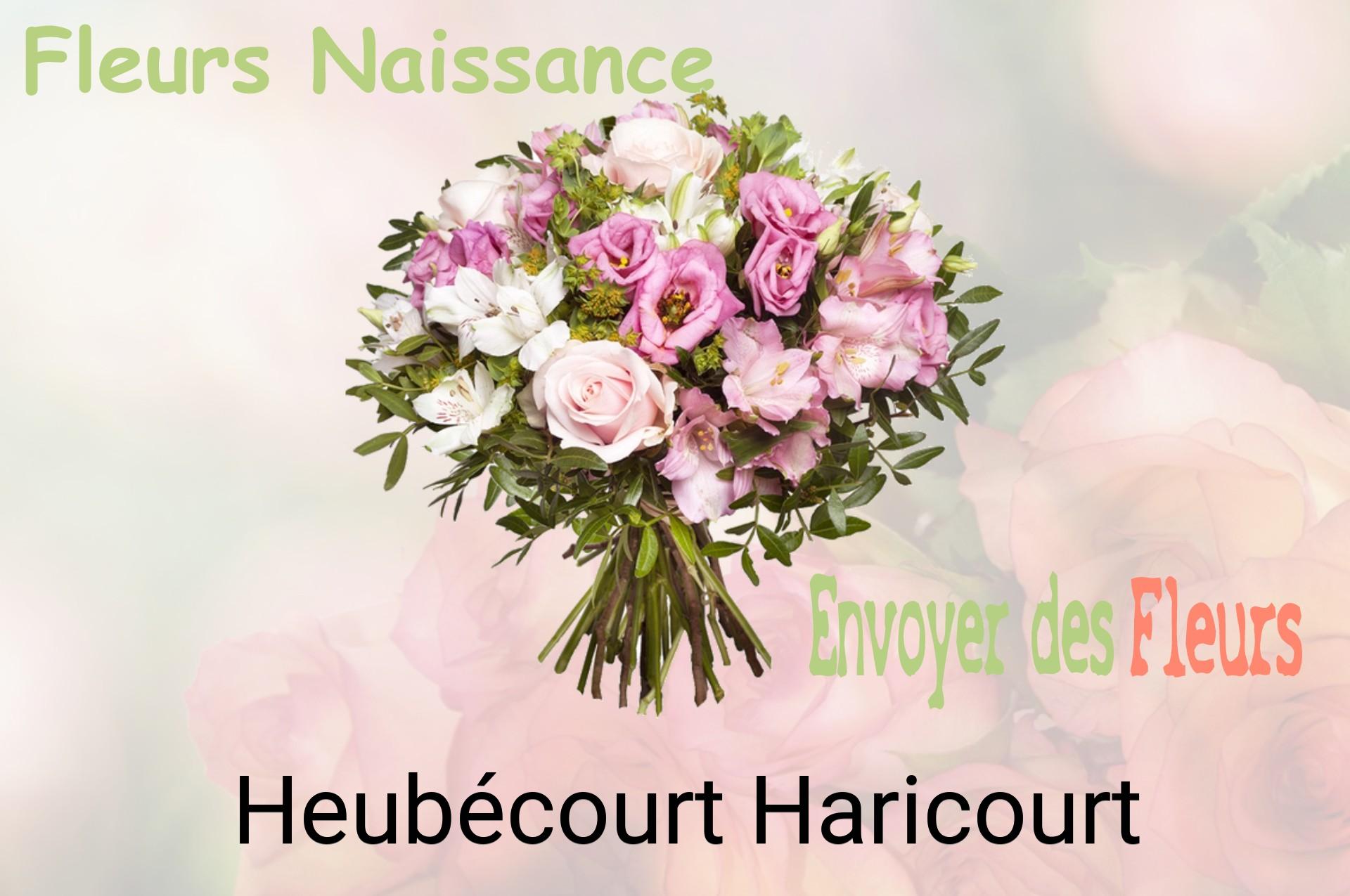 Bouquet de fleurs de naissance livré à Heubécourt-Haricourt
